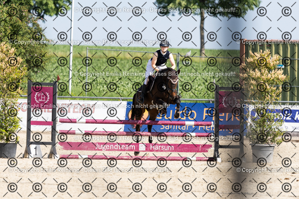 CL5A0177 | Emilia Reinking Fotografie - Realisiert mit Pictrs.com