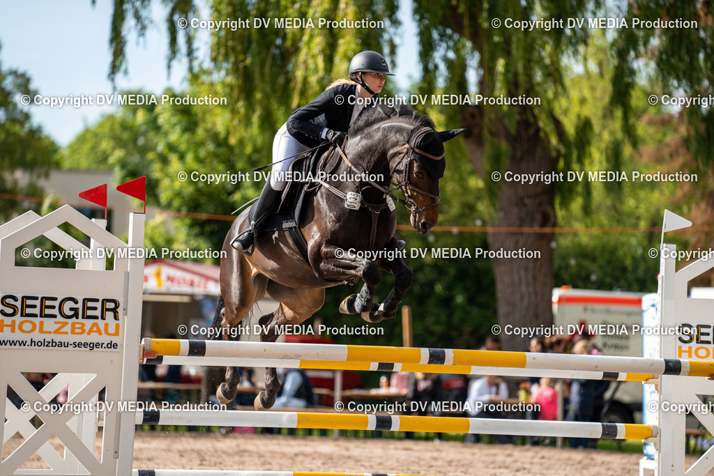 Eppelheim Tag 1-531 | dv-media-shop - Realisiert mit Pictrs.com