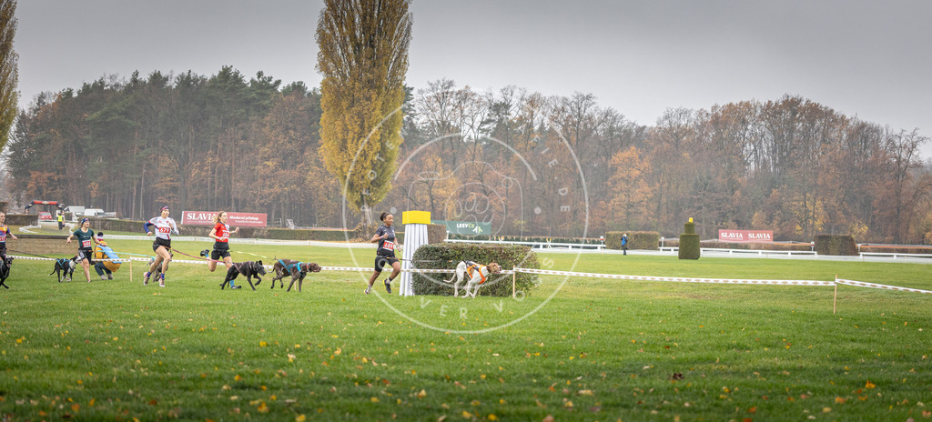 CaniXpix_DV3A8719 | Hundefotografie, Tierfotograf, Pfotenfotografie, Fotoshooting Hund, Hunde Portrait, Hundesport, Hundeportraits, Heideshooting, Hunde, Sportfotograf, Hundefotograf, Turnierhundsport, THS,  - Realisiert mit Pictrs.com