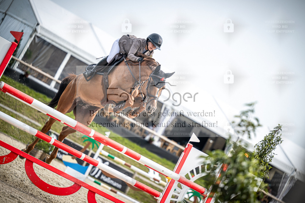 DOS_0192 | Entdecke hochwertige Reitturnierfotos von Foto Oger. Professionell, emotional und authentisch – jetzt Lieblingsmomente im Shop bestellen. - Realisiert mit Pictrs.com