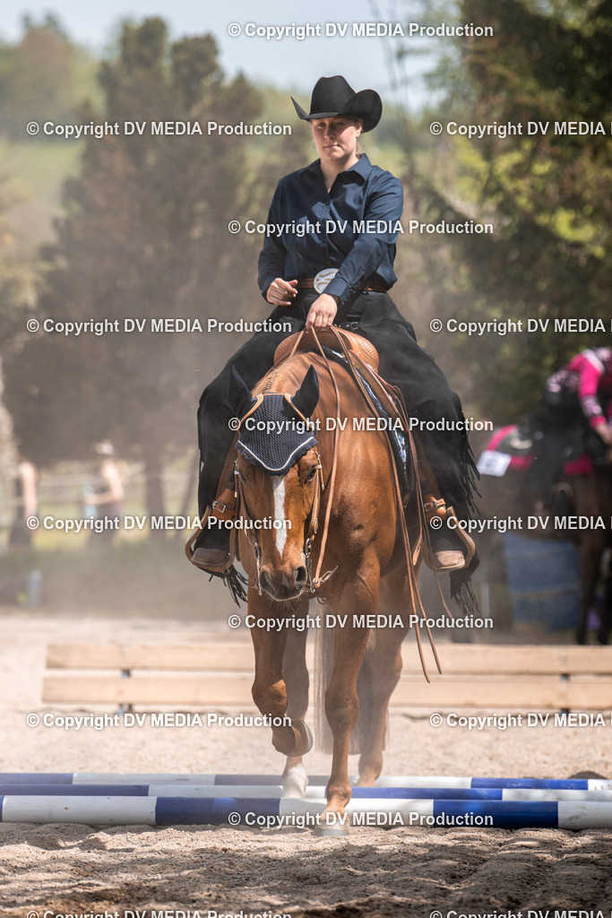 Balingen Tag 4-621 | dv-media-shop - Realisiert mit Pictrs.com