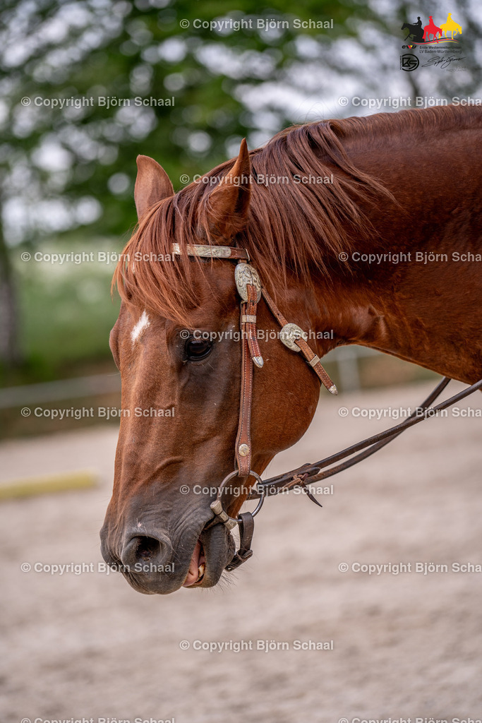 KBB06561 | BS-foto