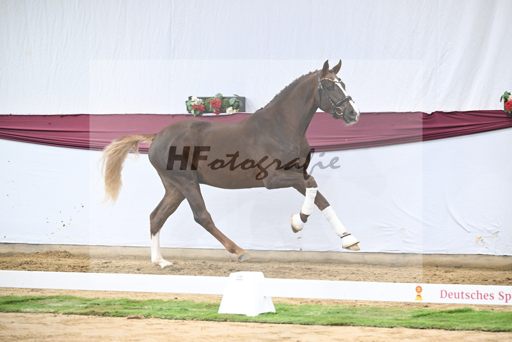 Kat-Nr. 64 Sky x Damsey_Heiko Klausing_47252334 | hf-fotografie - Realisiert mit Pictrs.com