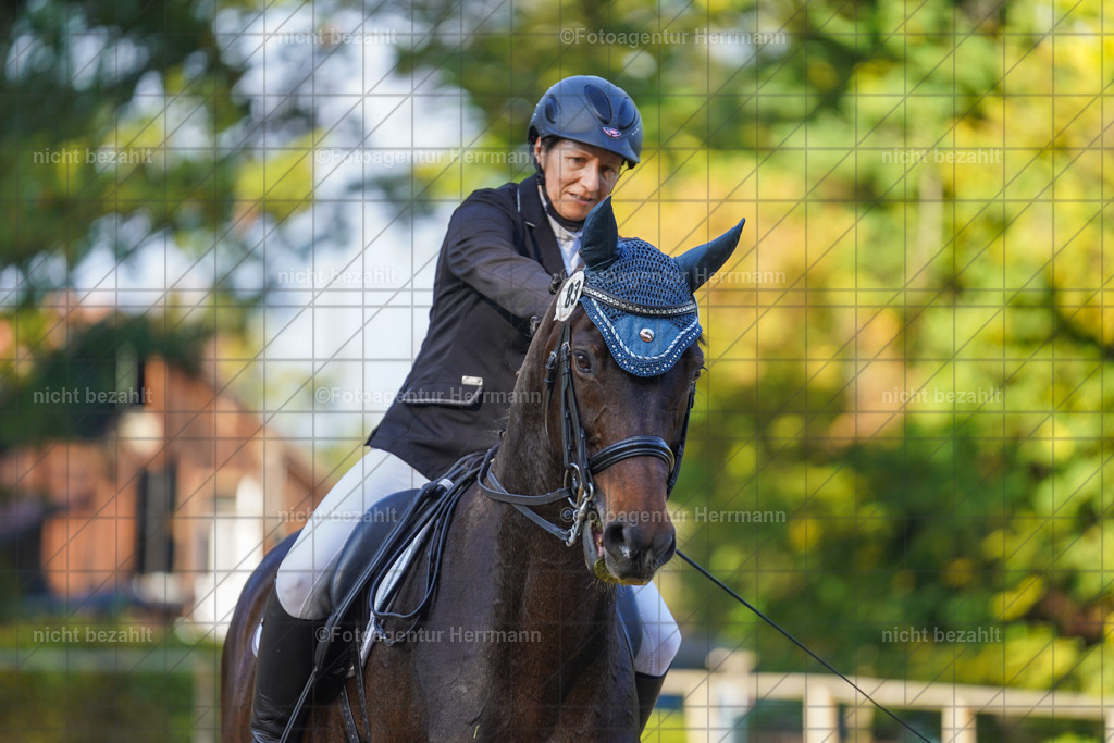20221007-FAH00172 | Diessen am Ammersee, 2022, Dressur- und Springturnier, Reitsportbilder, Turnierfotografen Bayern, Pferdefotografen, Fotoagentur Herrmann, Turnierbilder