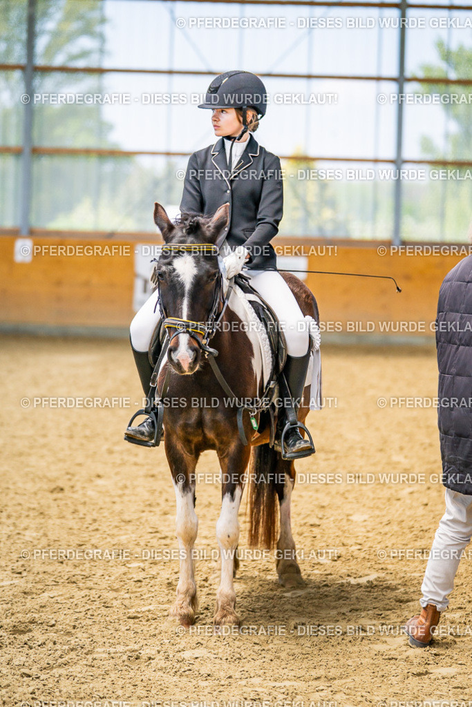 DSC03476 | Pferdegrafie