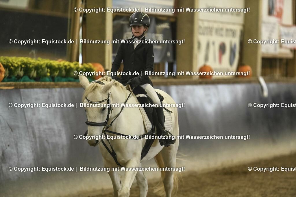 20231029_02_Reiter-WB_Schritt-Trab_Abteilung-03_0034 | Foto: Thomas Hartig