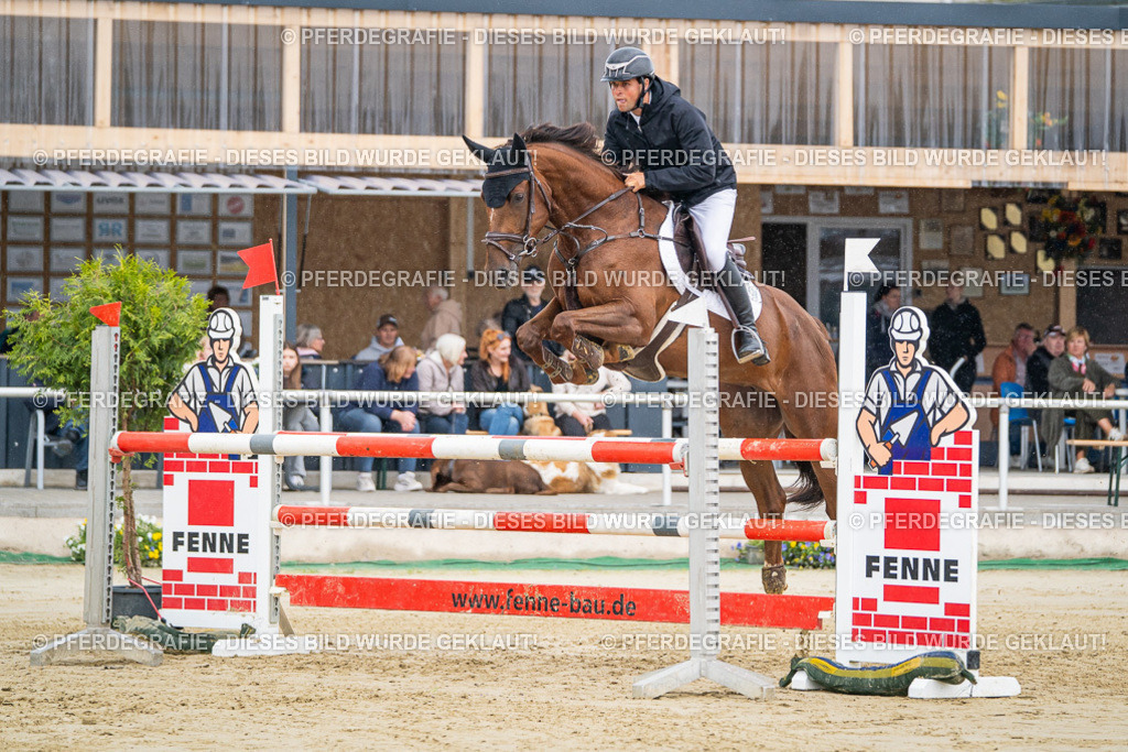 DSC01503 | Pferdegrafie