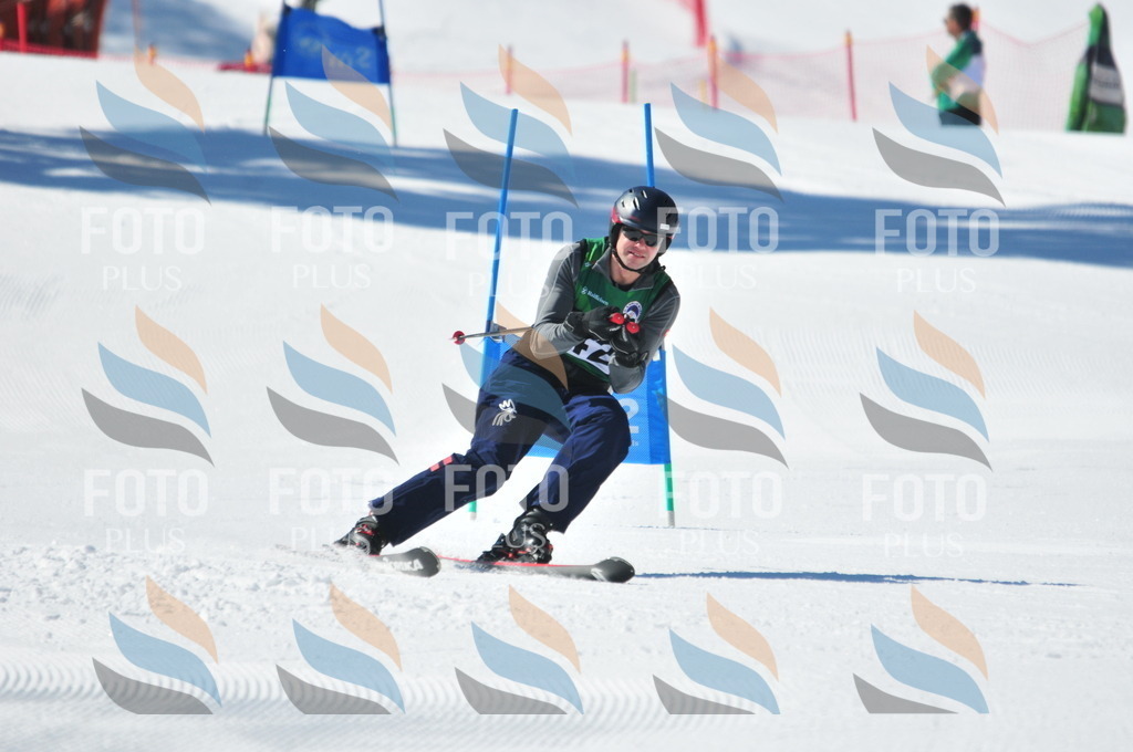 C4397 | holidayphoto