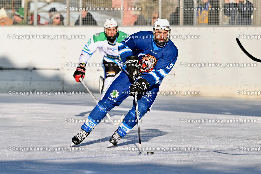EC Tigers Paternion vs. EC FELD AM SEE/DSG LEDENITZEN | #13 Meixner Thomas EC Tigers Paternion, EC Tigers Paternion vs. EC FELD AM SEE/DSG LEDENITZEN, EC Tigers Paternion vs. EC FELD AM SEE/DSG LEDENITZEN am 04.01.2026 in Paternion (Eislaufplatz Paternion), Austria, (Photo by Bernd Stefan)