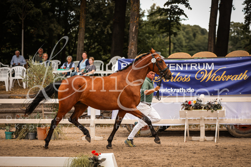 05.So00010 | Leoni Ertmer Photography - Realisiert mit Pictrs.com