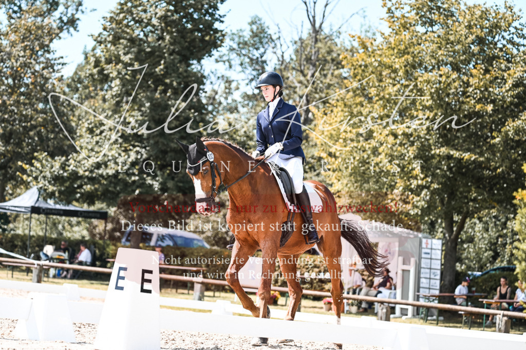 DSC_5538 | Pferde- und Turnierfotografie in Westsachsen. Pferdeportraits, Auftragszeichnungen und intuitive Kunst.