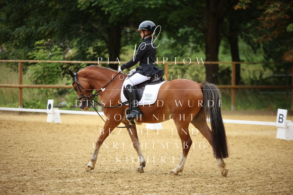 IMGM2567 | pl-fotografie