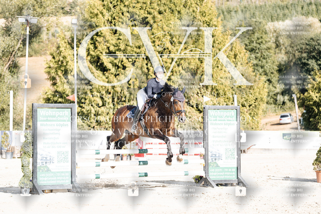 CK909192 | Turnierfotografie Pferdefotografie Trier Rheinland-Pfalz Pferdesport Reitsport Tierfotografie Sportfotografie Pferdevideo Pferdevideografie Equestrianvideography equestrianphotography  - Realisiert mit Pictrs.com