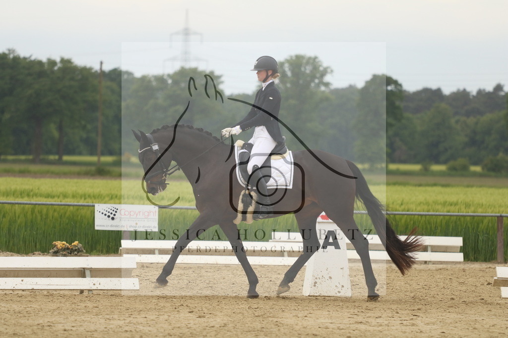 IMG_6240 | jessicahollubetz_pferdephotographie - Realisiert mit Pictrs.com