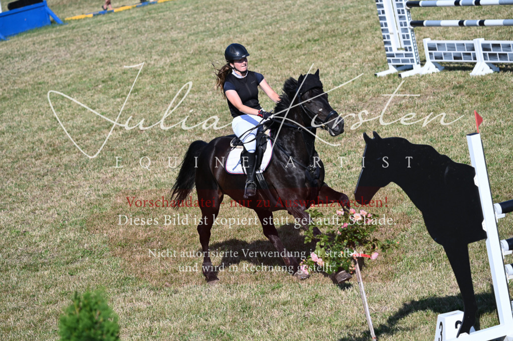 DSC_2424 | Pferde- und Turnierfotografie in Westsachsen. Pferdeportraits, Auftragszeichnungen und intuitive Kunst.