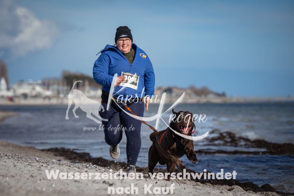 1334_ZZ91983 | kk-dogfotos