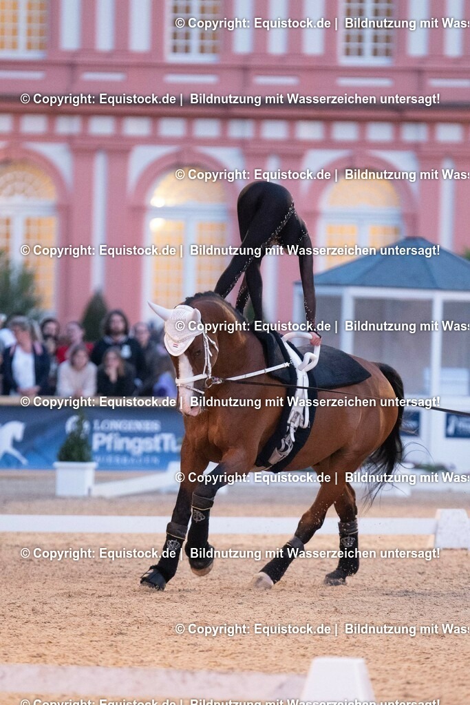 20230527_Voltigieren_NASPA_Flutlicht_0458 | equistock