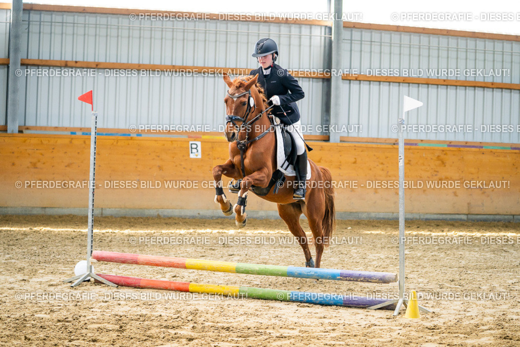 DSC01500 | Pferdegrafie