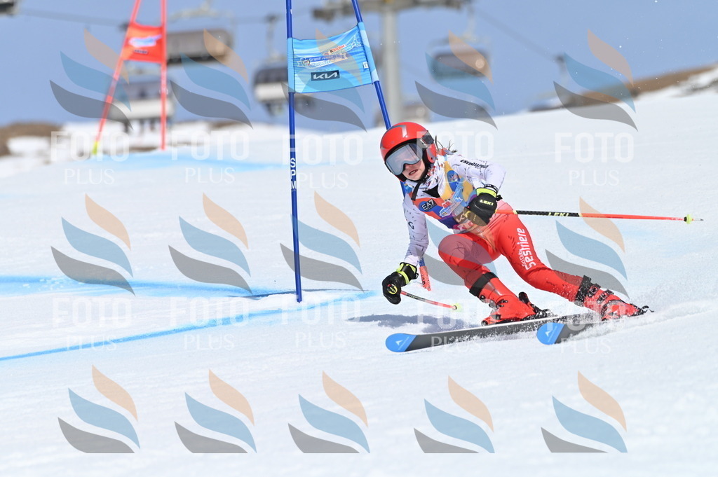 BGV_0050 | holidayphoto