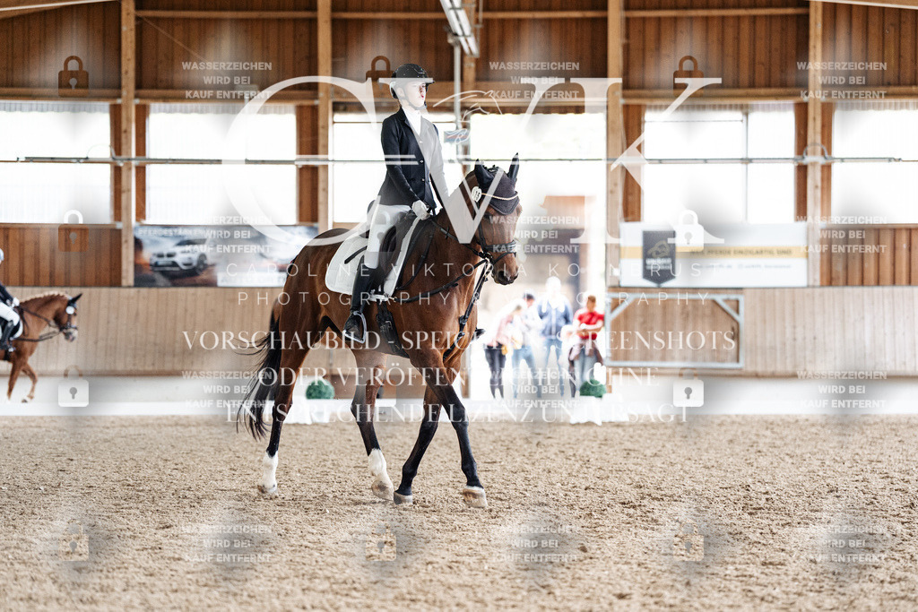 CK900675 | Turnierfotografie Pferdefotografie Trier Rheinland-Pfalz Pferdesport Reitsport Tierfotografie Sportfotografie Pferdevideo Pferdevideografie Equestrianvideography equestrianphotography  - Realisiert mit Pictrs.com
