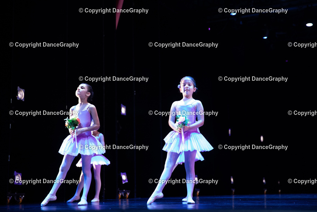 GPHY4891 | DanceGraphy - Realisiert mit Pictrs.com