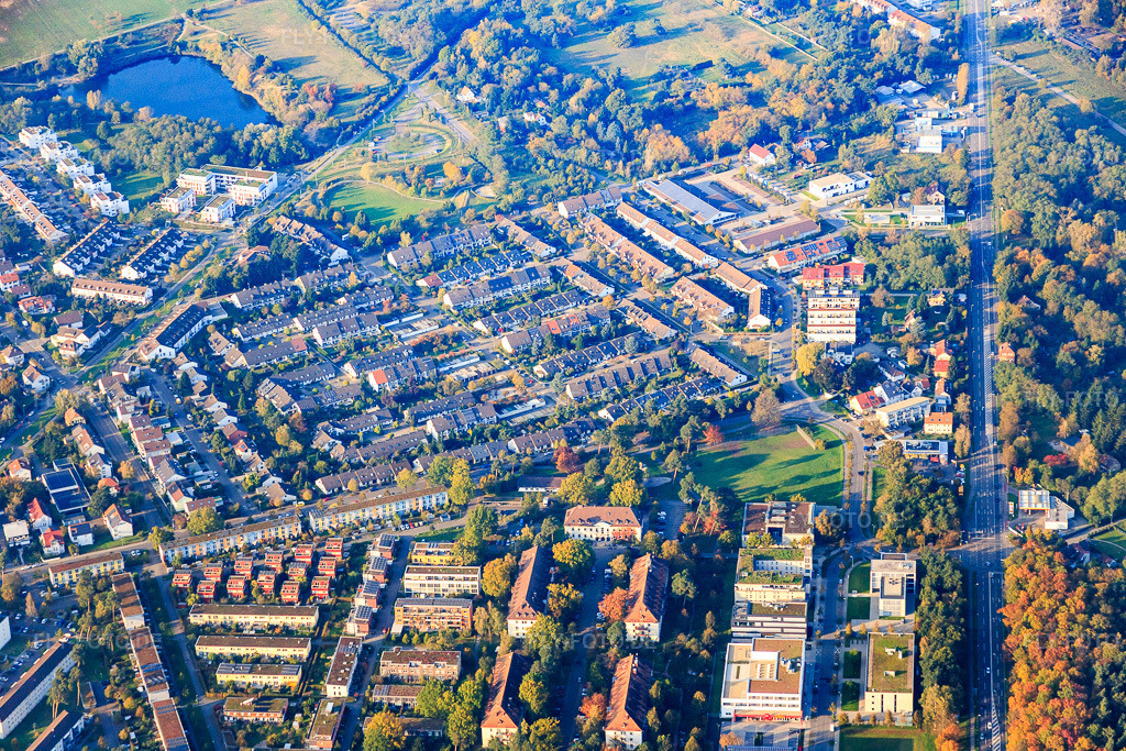 Luftbild: Am Wald im Ortsteil Neureut in Karlsruhe im Bundesland Baden-Württemberg in Deutschland. Foto: IMG_075446.jpg vom 26.10.2014 durch Werner Riehm/FLY-FOTO.deAuflösung des Originals: 5472 x 3648 px