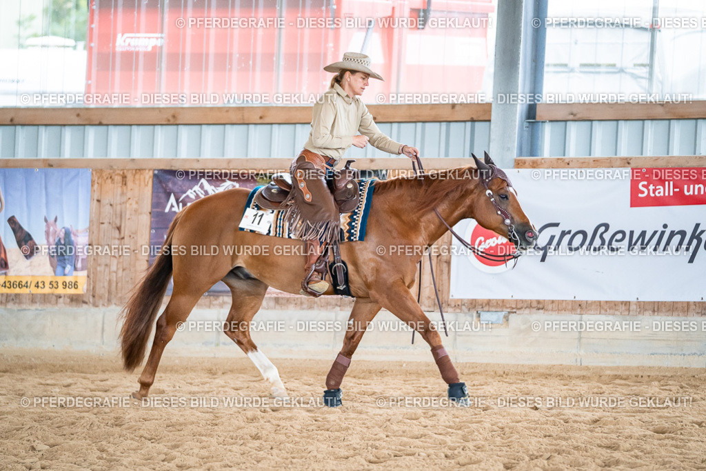 DSC07454 | Pferdegrafie