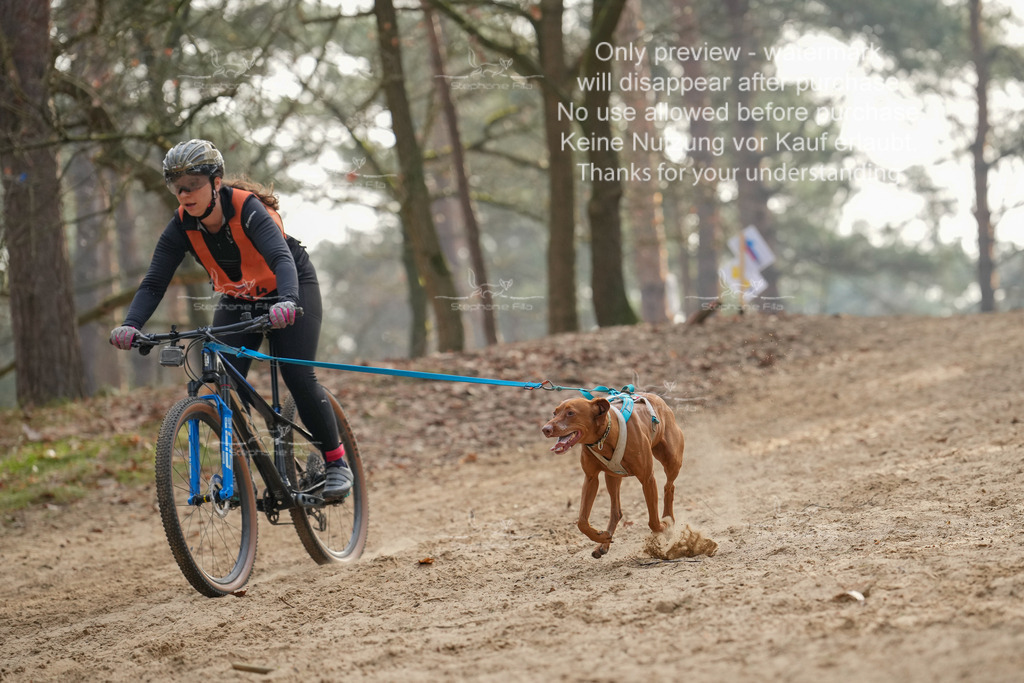 Bike1-384 | stephaniefillaphotographie - Realisiert mit Pictrs.com