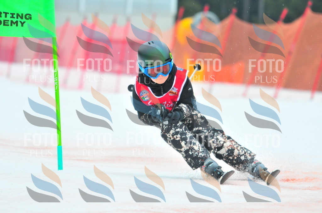 C0526 | holidayphoto