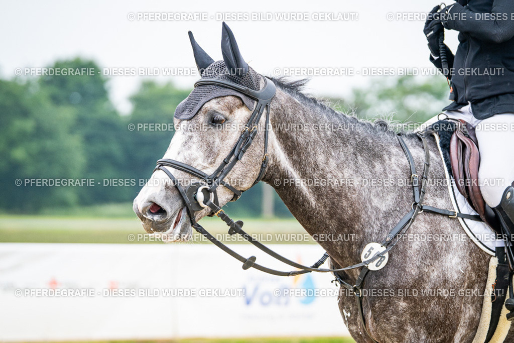 DSC00256 | Pferdegrafie