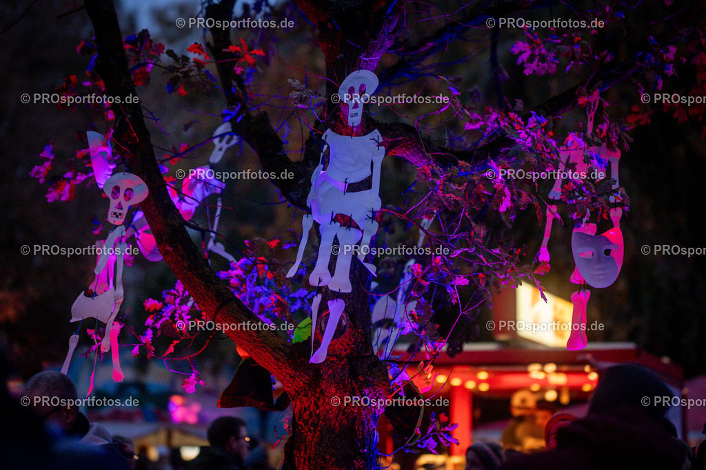 Halloween Run 2025 in Koeln, 31.10.2025 | Impressionen vom Halloween Run 2025 am 31.10.2025 in Koeln (Forstbotanischer Garten Rodenkirchen). Foto: Axel Kohring/Beautiful Sports