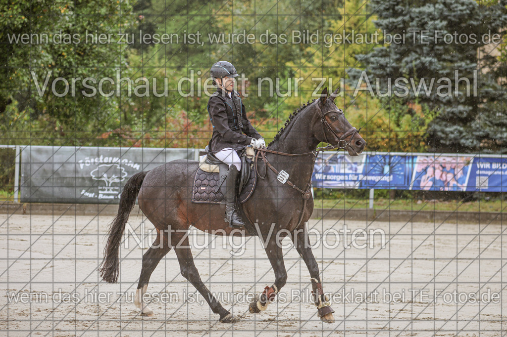 2025-09-22_10-13-11_MG_6231 | TE-Fotos