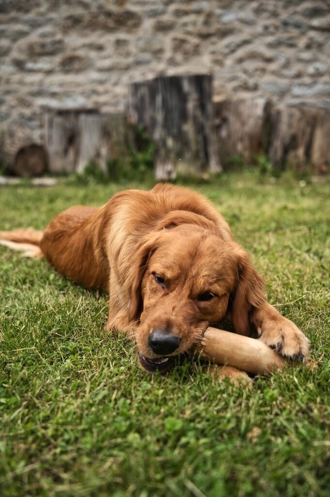 DSC_0169 | Unvergessliche Erinnerungen in Bildern festgehalten! Ob Hochzeit, Shooting oder Landschaft  - Ich bin dein Fotograf in Erfurt und Umgebung! Photo-Rauch | Sandro Rauch - Realisiert mit Pictrs.com