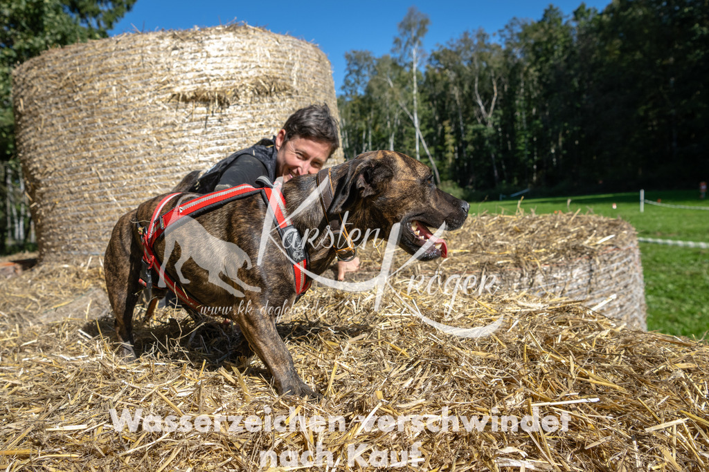 1243_ZZ92011-2 | kk-dogfotos