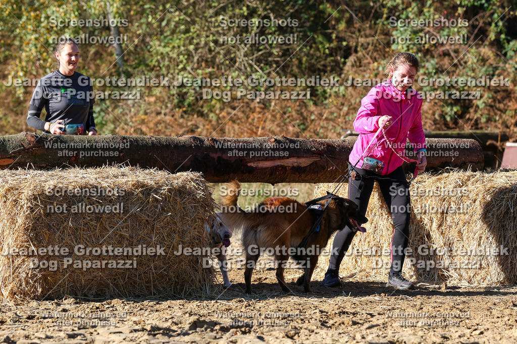 Dog Paparazzi - Strongdog 10-25-1989 | Dog Paparazzi Jeanette Grottendiek Fotografie & Videografie - Realisiert mit Pictrs.com