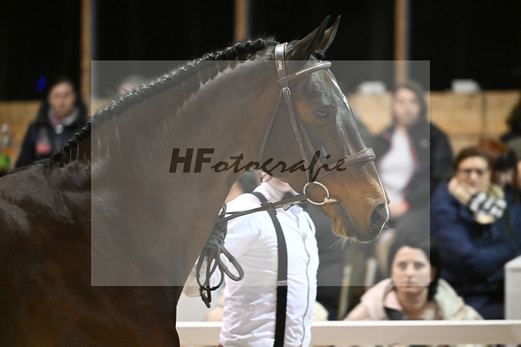 Vigaro_14261352 | hf-fotografie - Realisiert mit Pictrs.com