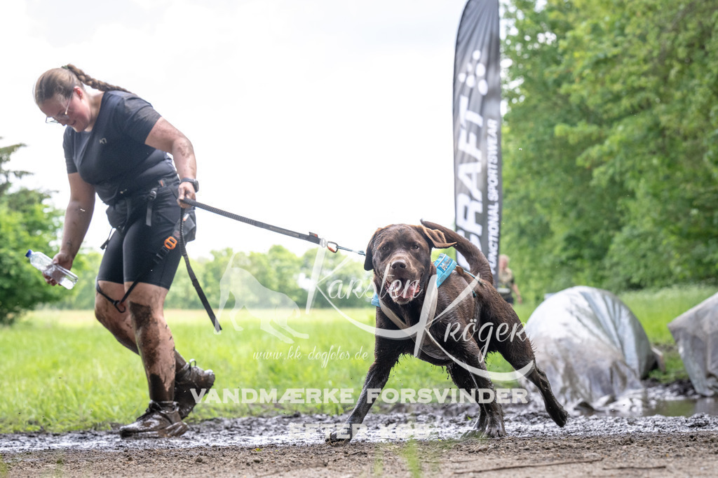 1238_ZZ92758 | kk-dogfotos