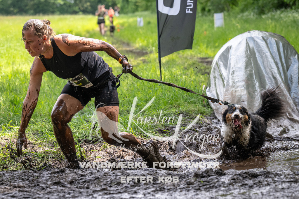 1238_ZZ92681 | kk-dogfotos