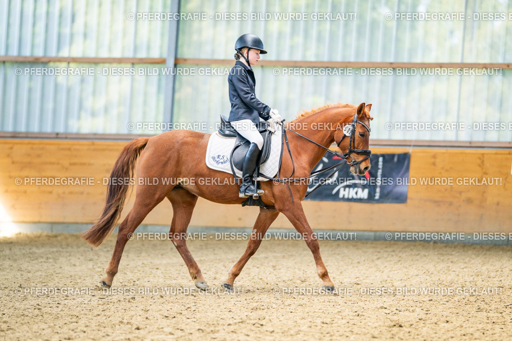 DSC03205 | Pferdegrafie