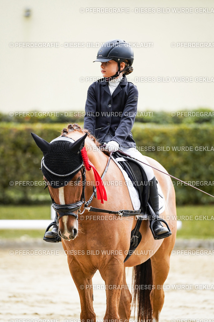 DSC05772 | Pferdegrafie