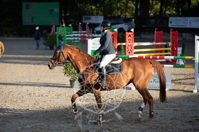 2B4A0907 | pixelfaenger - Realisiert mit Pictrs.com