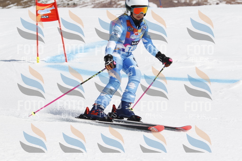 _U3G1154 | holidayphoto