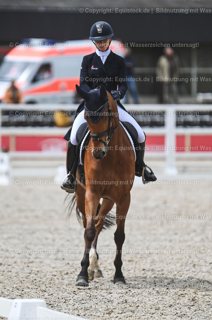 20230512_CCI4_Dressur_0248 | equistock