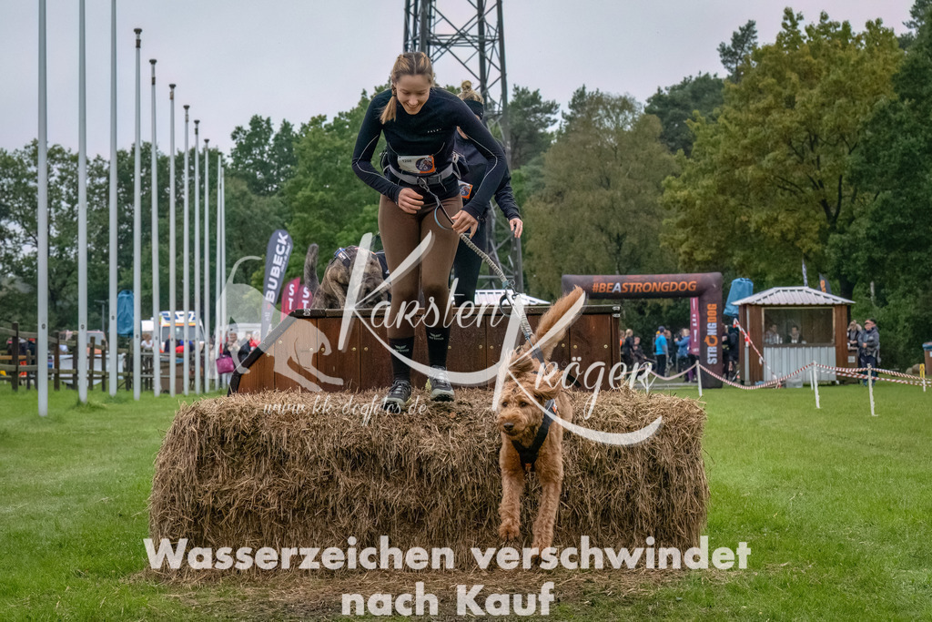 1206--7 | kk-dogfotos