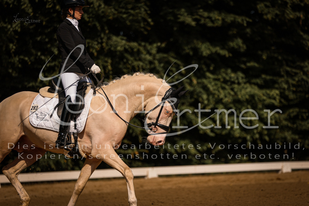 07.FrDrPA00215 | Leoni Ertmer Photography - Realisiert mit Pictrs.com