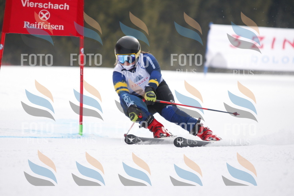 D4912 | holidayphoto