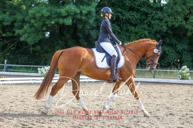 DKP45544 | Turniersportfotografie; Pferdefotografie; Dressurfotografie