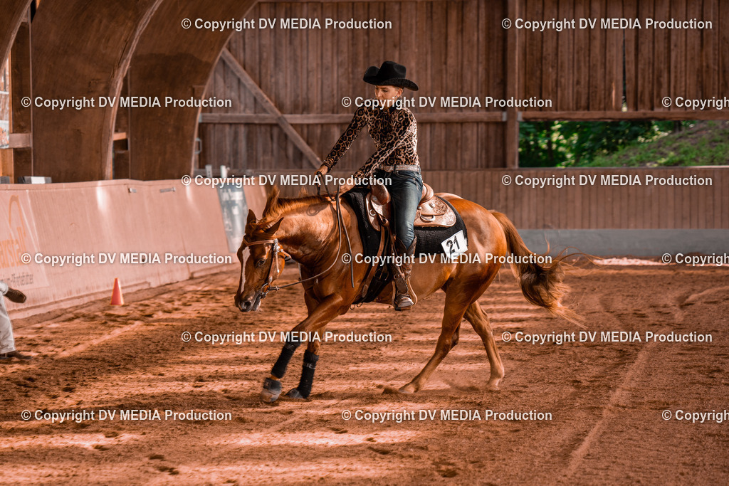 NE201210 | dv-media-shop - Realisiert mit Pictrs.com