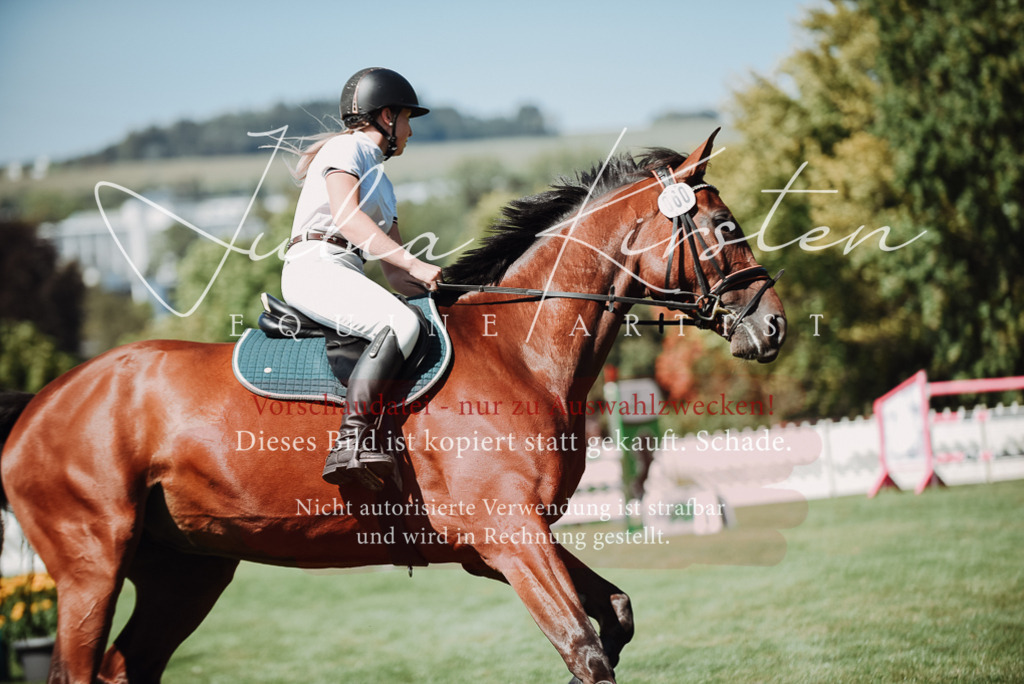 DSC_3080 | Pferde- und Turnierfotografie in Westsachsen. Pferdeportraits, Auftragszeichnungen und intuitive Kunst.
