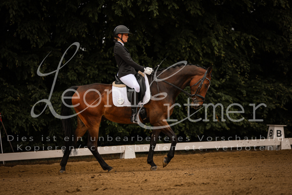 DoDrE00063 | Leoni Ertmer Photography - Realisiert mit Pictrs.com